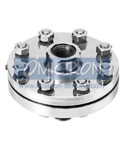 diaphragm seal pressure gauge,diaphragm seals
