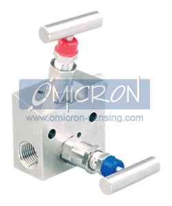valve manifold,manifold valves,2 valve manifold